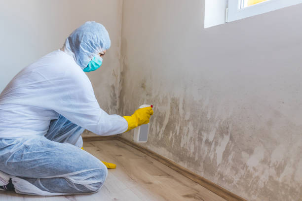 Mold Remediation specialist working in Monmouth Beach