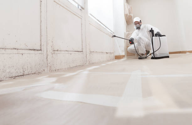 Black mold remediation team in Monmouth Beach
